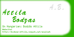 attila bodzas business card